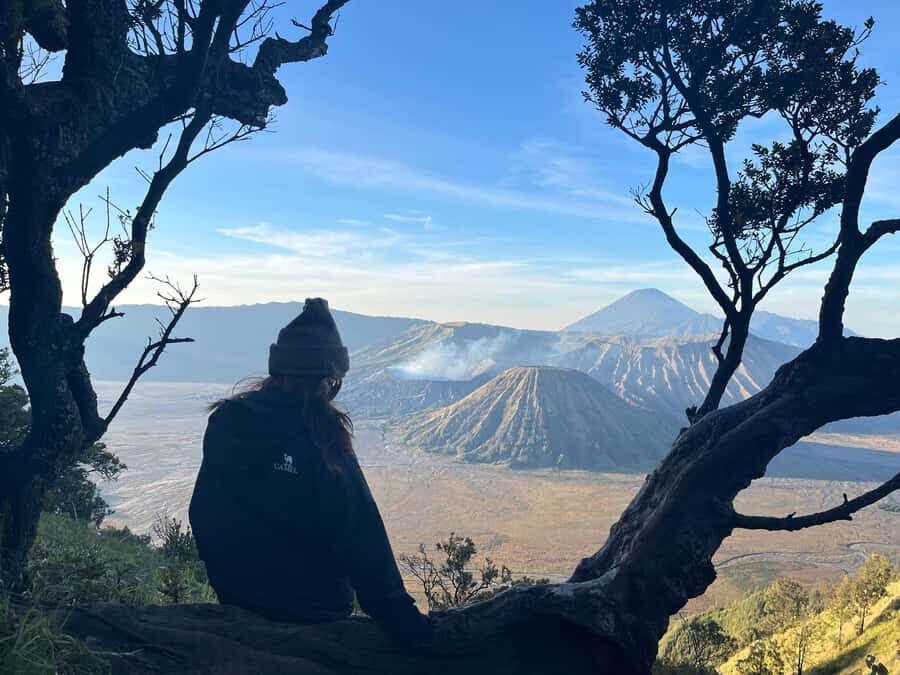 Surabaya: Mount Bromo Sunrise Private Tour - Starting the Adventure: Transport & Pickup