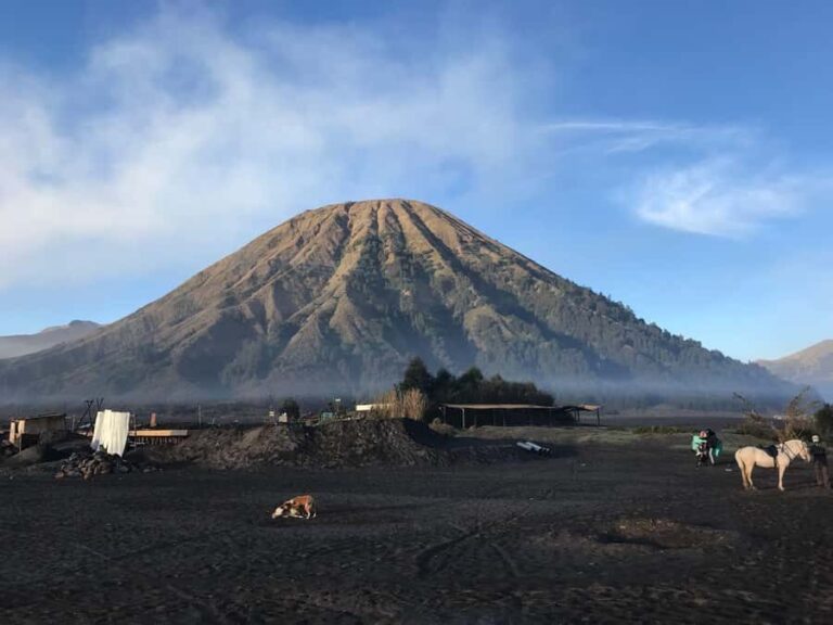 Surabaya or Malang: 2D1N Private Mount Bromo Trekking Tour - Logistics & Value