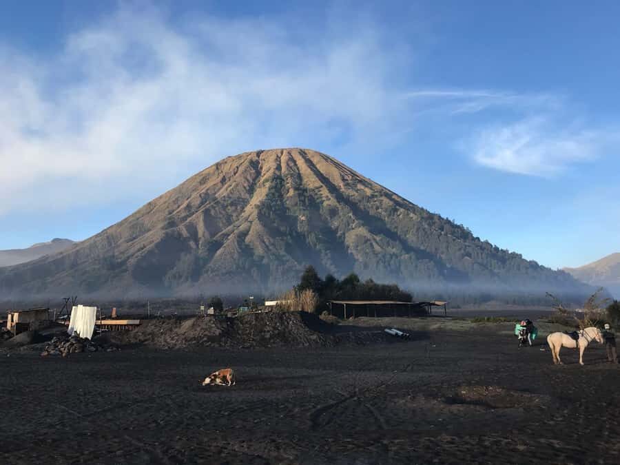 Surabaya or Malang: 2D1N Private Mount Bromo Trekking Tour - Logistics & Value