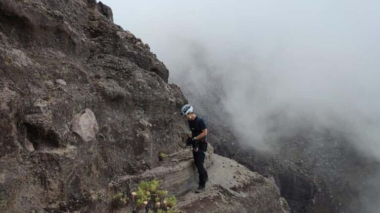 Surabaya or Malang: 3-Day Mount Raung Trekking Tour - Day 3: Descent and Return