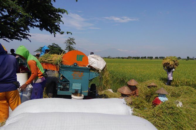 Surakarta Village cycling tour - The Ride and Logistics