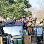 Sure Shot Tiger Viewing: Half-Day Panna National Park Jeep Safari - Exploring the Panna National Park Jeep Safari