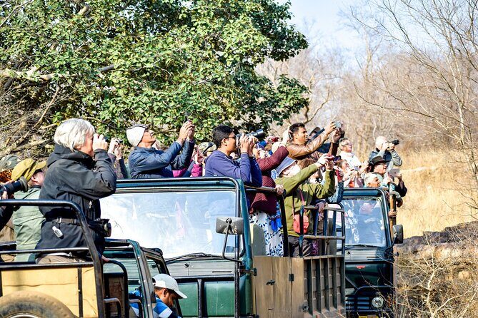 Sure Shot Tiger Viewing: Half-Day Panna National Park Jeep Safari - Exploring the Panna National Park Jeep Safari