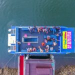 Surfers Paradise: Gold Coast Afternoon River Cruise 4pm - Why You Should Consider This Tour