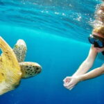 Surin Island Snorkeling by Speedboat from Khao Lak - Authentic Experiences and Real Insights from Reviewers