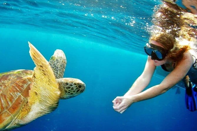 Surin Island Snorkeling by Speedboat from Khao Lak - Authentic Experiences and Real Insights from Reviewers