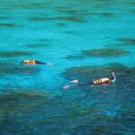 Surin Island - Snorkeling Tour - What You’ll Love About This Tour
