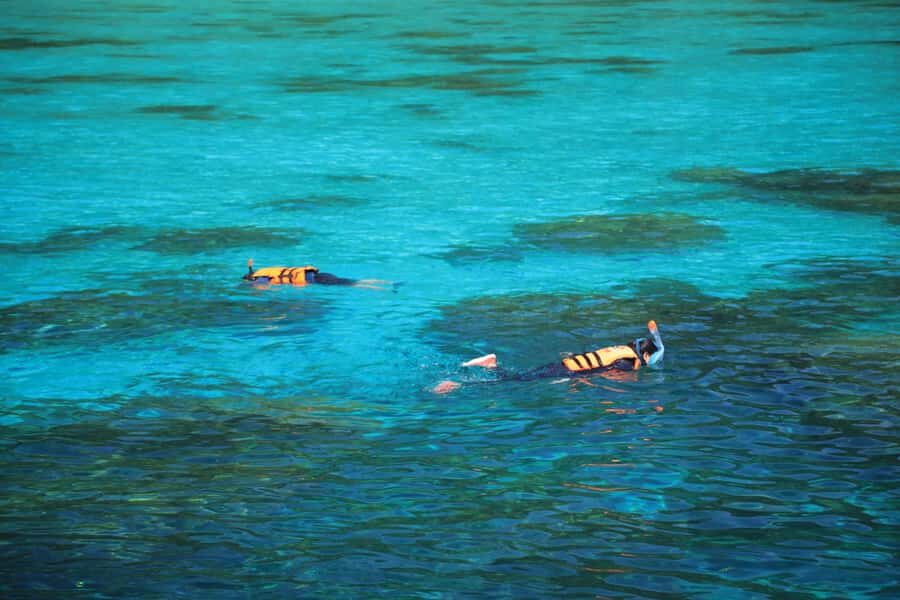 Surin Island - Snorkeling Tour - What You’ll Love About This Tour