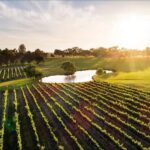 Swan Valley: Tour with 5 star Culinary Chefs 5 course lunch. - The Heritage Charm of Guildford