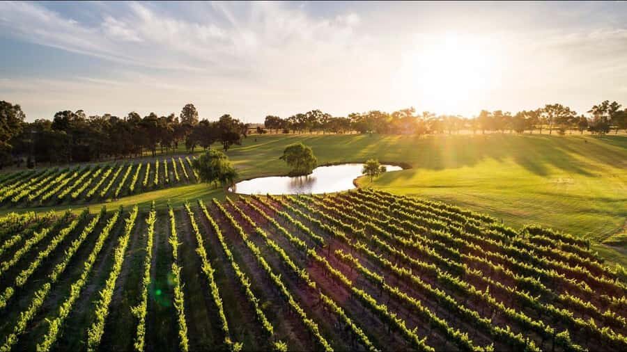 Swan Valley: Tour with 5 star Culinary Chefs 5 course lunch. - The Heritage Charm of Guildford