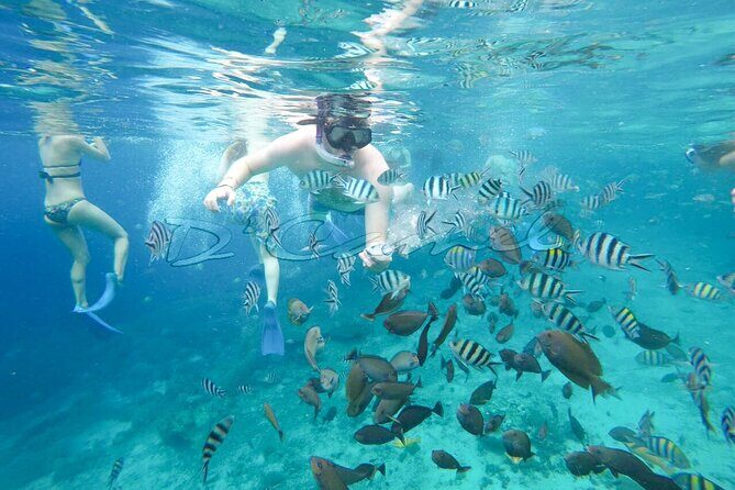 Swim With Manta Rays Snorkeling Nusa Penida - Detailed Breakdown of the Itinerary