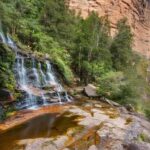 Sydney: Blue Mountains and F. Wildlife Park - Private Tour - An In-Depth Look at the Tour Experience