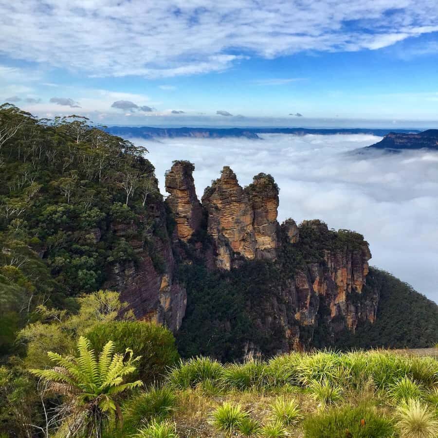 Sydney: Blue Mountains Private Wildlife Adventure Tour - Final Thoughts: Is This Tour for You?