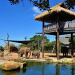 Sydney: Featherdale Park & Sydney Zoo Day Tour - Practical Details & Why They Matter