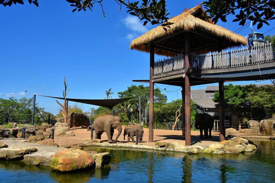 Sydney: Featherdale Park & Sydney Zoo Day Tour - Practical Details & Why They Matter