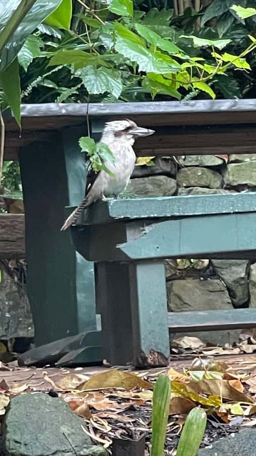 Sydney: Harbour Views & Hidden Histories Walking Tour - Transportation, Timing, and Group Dynamics