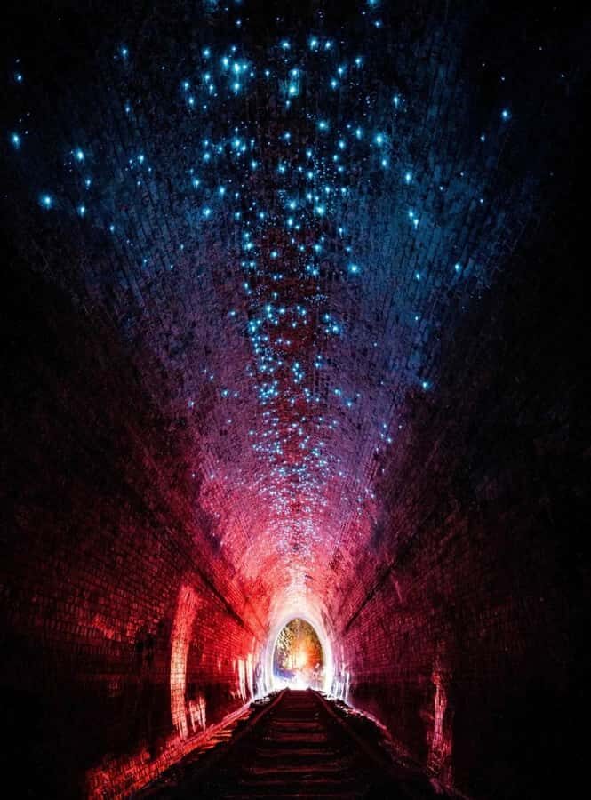Sydney: Helensburgh Glow Worm Tunnel Tour with Transfer - The Details of the Helensburgh Glow Worm Tunnel Tour