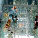 Sydney Historical Walking Tour including The Rocks - Who Should Take This Tour?