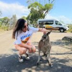Sydney: Jervis Bay & South Coast Small Group Wild Kangaroos - Why This Tour Offers Great Value