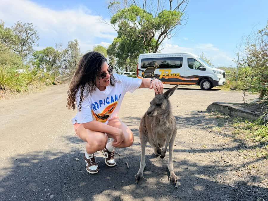 Sydney: Jervis Bay & South Coast Small Group Wild Kangaroos - Why This Tour Offers Great Value