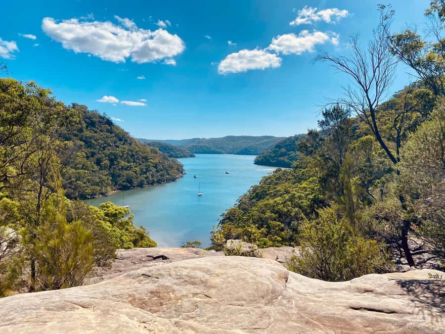 Sydney: Ku-ring-gai National Park with swim and picnic - What Makes This Tour Special?