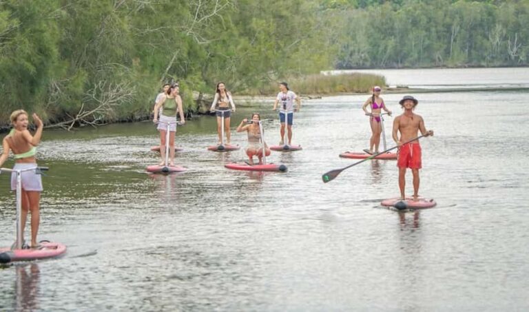 Sydney: Narrabeen Lagoon SUP Tour with Instructor - The Deep Creek Segment: A Longer Paddle
