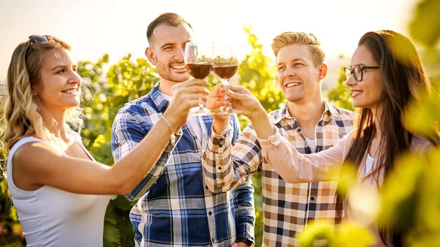 Sydney: Private Hunter Valley Premium Wine Tasting Luxe Tour - The Itinerary: A Well-Structured Day of Wine and Scenic Beauty