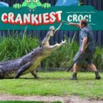 Sydney: Reptile Park and Avoca Beach Day Trip with Entry - Transition to Avoca Beach