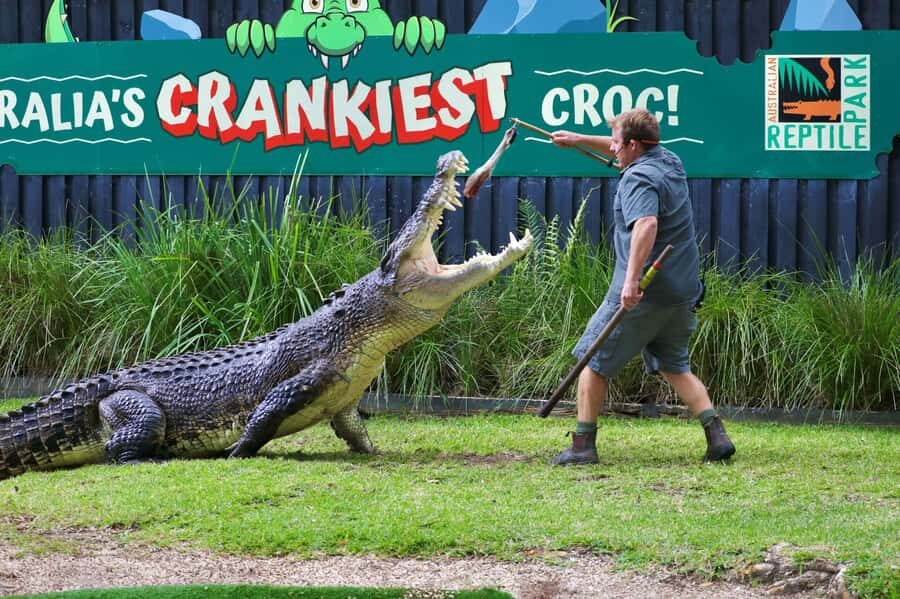 Sydney: Reptile Park and Avoca Beach Day Trip with Entry - Transition to Avoca Beach