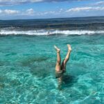 Sydney: Royal National Park Day Trip with Picnic and Swim - The Itinerary: What Makes Each Stop Special?