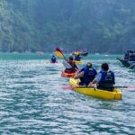 Symphony Luxury Cruise Day Tour from Halong Harbor with Pickup - Comfort, Food, and Practicalities