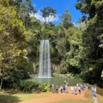 Tablelands Sights & Daintree Rainforest (2 Day Tours) - Who Is This Tour Best For?