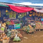 Tagaytay + Hidden Valley Springs: A Scenic Escape w/ Transfers - Who Will Love This Tour?