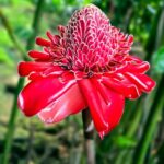 Tahiti Half Day Small Group Circle Tour - Waterfalls & Caves - Detailed Breakdown of the Tour Experience