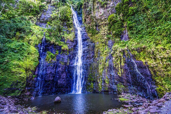 Tahiti Island Discovery  Full Day Private Shore Tour - The Practicalities: What You Should Know