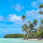 Tahiti Lagoon: 4-hour snorkeling to discover the secrets of the lagoon - Practical Details and What to Bring