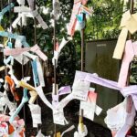 Tailored private Walking Tour in Kamakura with a Local Guide - What Makes This Tour Stand Out?