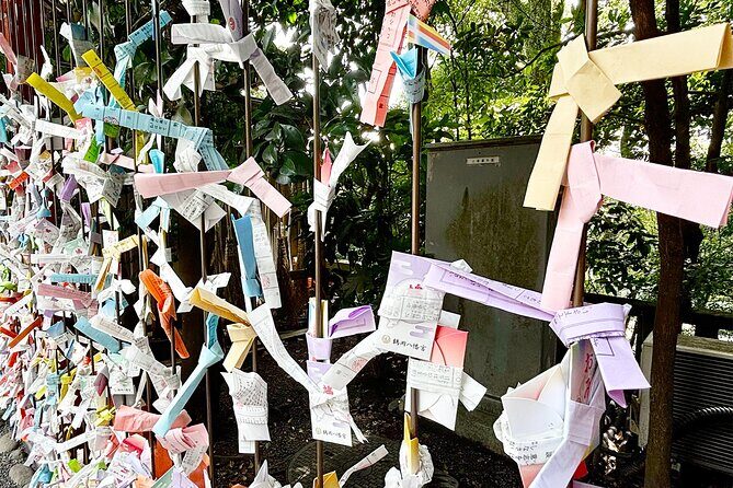 Tailored private Walking Tour in Kamakura with a Local Guide - What Makes This Tour Stand Out?