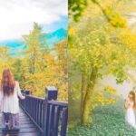 Taipei: 5-Day Tour of Taiwans Highlights - Practical Insights and Travel Tips