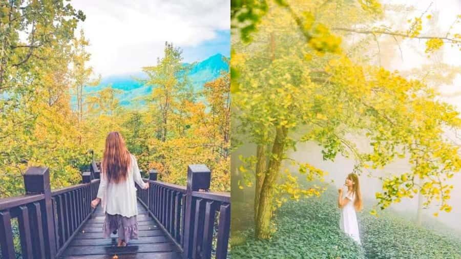 Taipei: 5-Day Tour of Taiwans Highlights - Practical Insights and Travel Tips