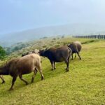 Taipei Customize Your Private Day Tour with Driver Guide - What to Expect at Each Stop