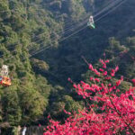 Taipei Hot Spring Tour: Wulai Old Street & Cable Car - A Detailed Look at the Wulai Hot Spring Tour