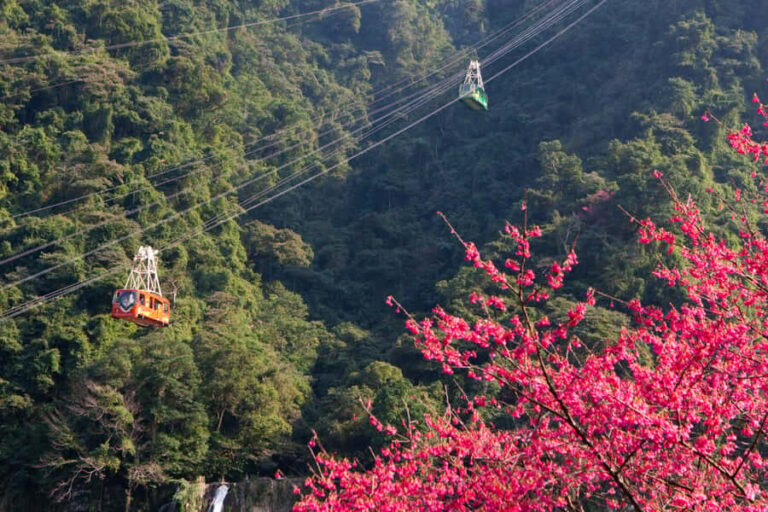 Taipei Hot Spring Tour: Wulai Old Street & Cable Car - A Detailed Look at the Wulai Hot Spring Tour