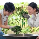 Taipei: Yilan Tea Farm and Brewery Tour with Lunch - Practical Details and Tips