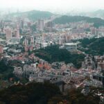 Taipei Zoo and Maokong Gondola tour - Why Visit Taipei Zoo?