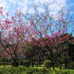 Taiwan Taipei: 8-Hour Customized Taipei City Exploration! - Why Travelers Value This Customized Approach