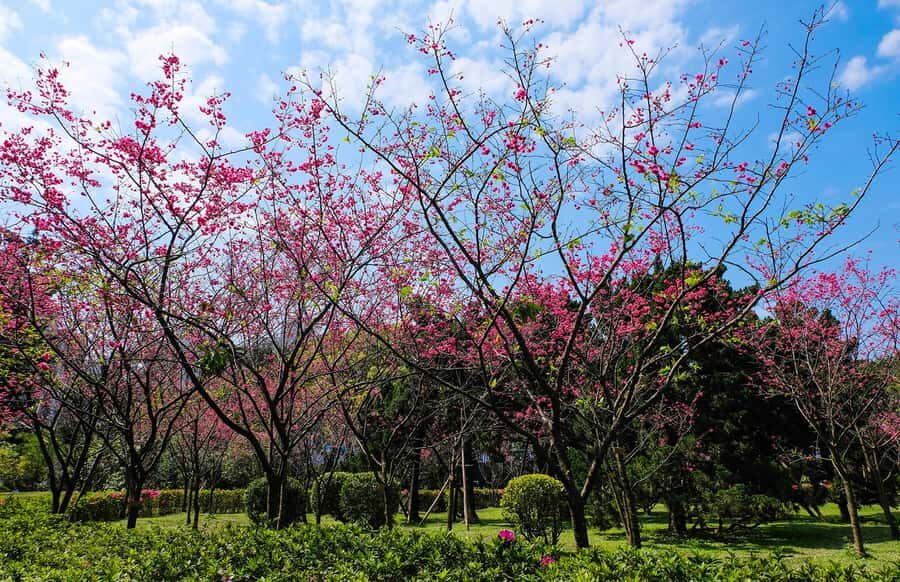 Taiwan Taipei: 8-Hour Customized Taipei City Exploration! - Why Travelers Value This Customized Approach