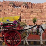 Taj Mahal Day Trip - Agra Fort
