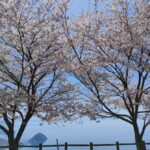 Takamatsu/Kagawa Private Custom Tour with Local Guide - A Deep Dive into the Itinerary