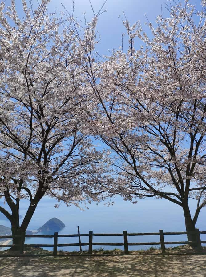 Takamatsu/Kagawa Private Custom Tour with Local Guide - A Deep Dive into the Itinerary